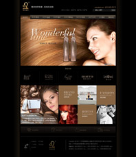 廣州博宣美發產品營銷型網站建設案例