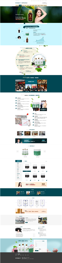 深圳發智時代營銷型網站建設案例