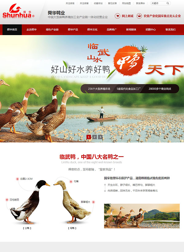 湖南臨武舜華鴨業營銷型網站建設案例