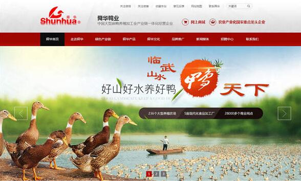 湖南臨武舜華鴨業營銷型網站案例